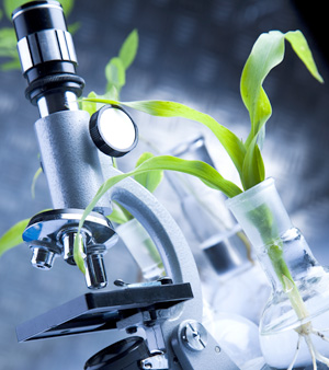 定制和技術(shù)服務(wù)